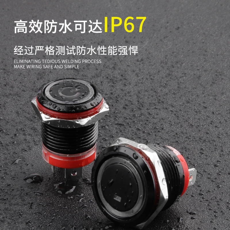 WD-D1系列氧化黑大电流金属按钮